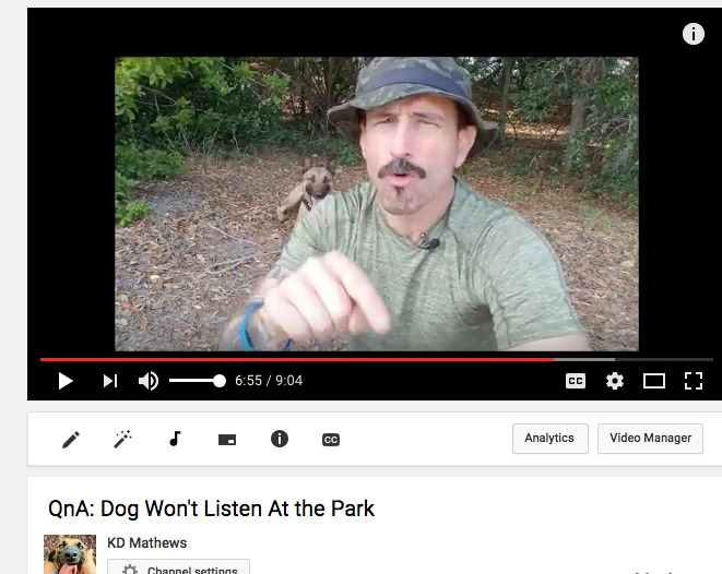New YouTube Video:  Q&A Why Won’t My Dog Listen At The Park?